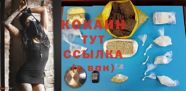 2c-b Инта