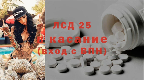 ПСИЛОЦИБИНОВЫЕ ГРИБЫ Зеленодольск