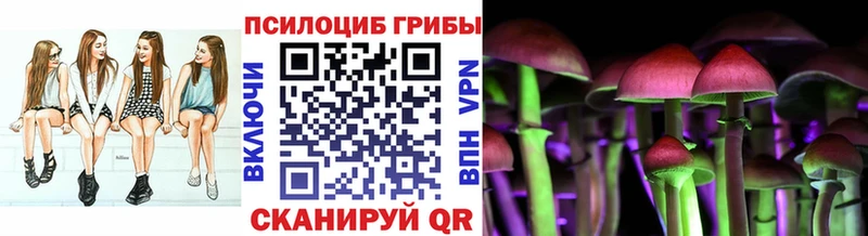 Псилоцибиновые грибы Psilocybe  купить  сайты  Южно-Сахалинск 